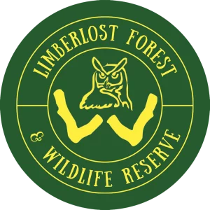 Limberlost Rentals cottage rentals muskoka